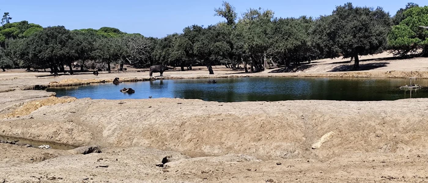 Badoca Safari Park