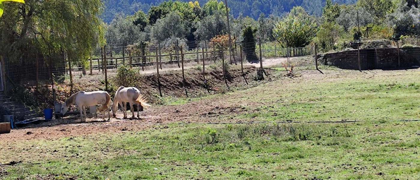 Parque Biológico da Serra da Lousã