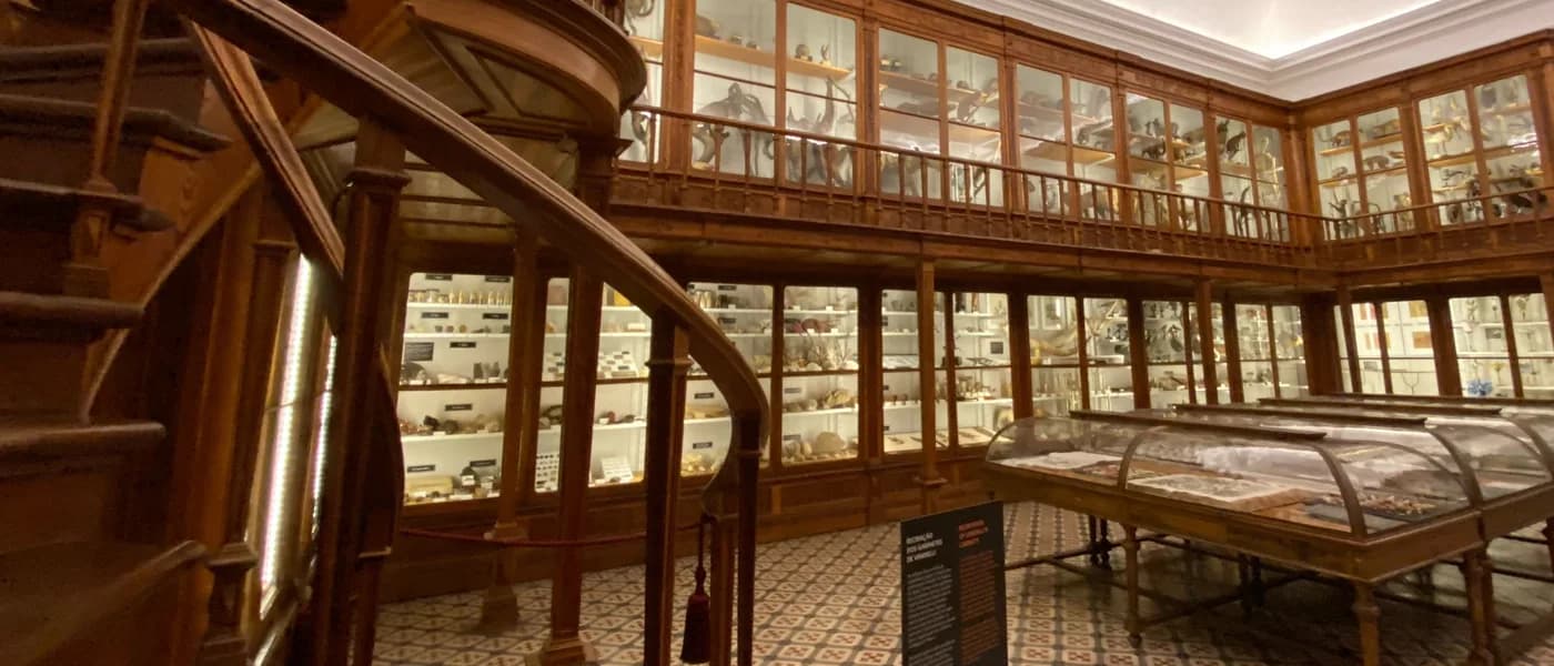 Museu da Ciência