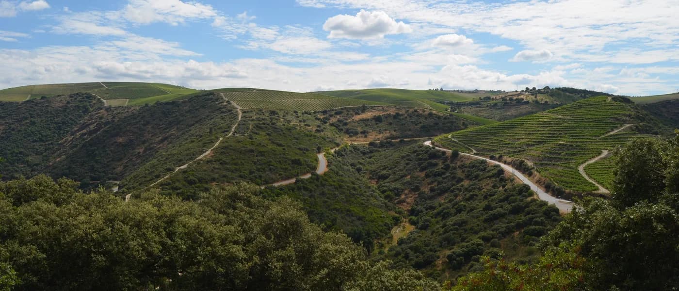 Miradouro de São Salvador do Mundo