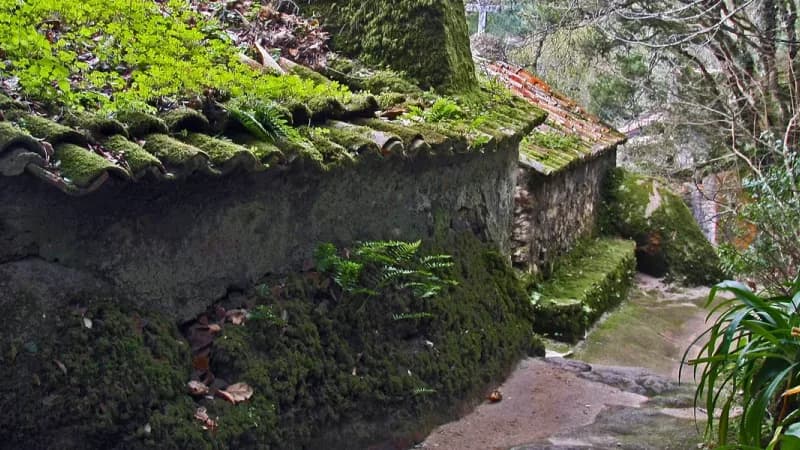 Sintra sans la Pena (et c'est mieux comme ça)