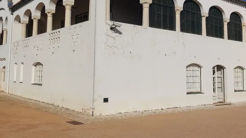 Casa dos Patudos - Museu de Alpiarça