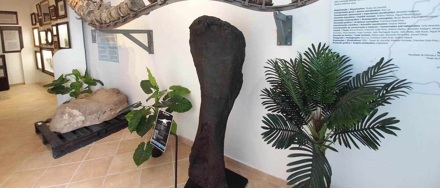Museu da Lourinhã