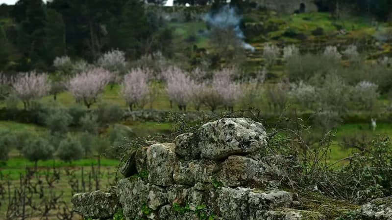 Museu da Memória Rural