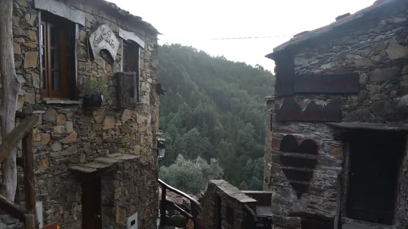 Talasnal