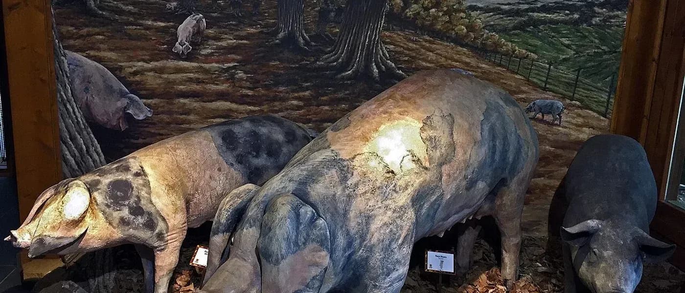 Centro Interpretativo das Raças Autóctones Portuguesas