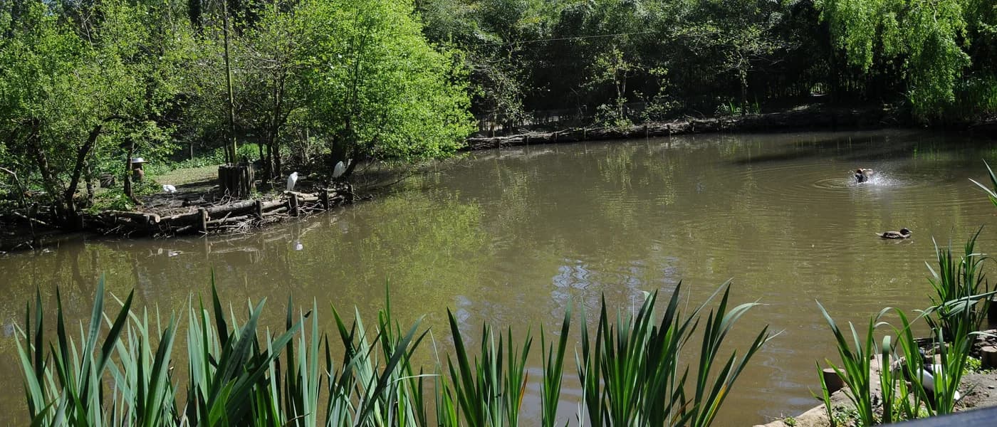Parque Biológico de Gaia