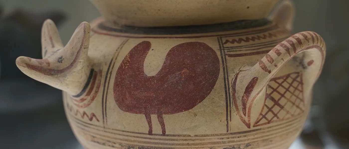Museu de Arqueologia Dom Diogo de Sousa