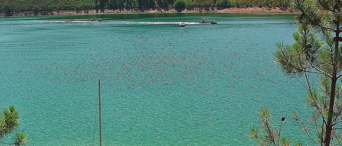 Praia Fluvial Zaboeira