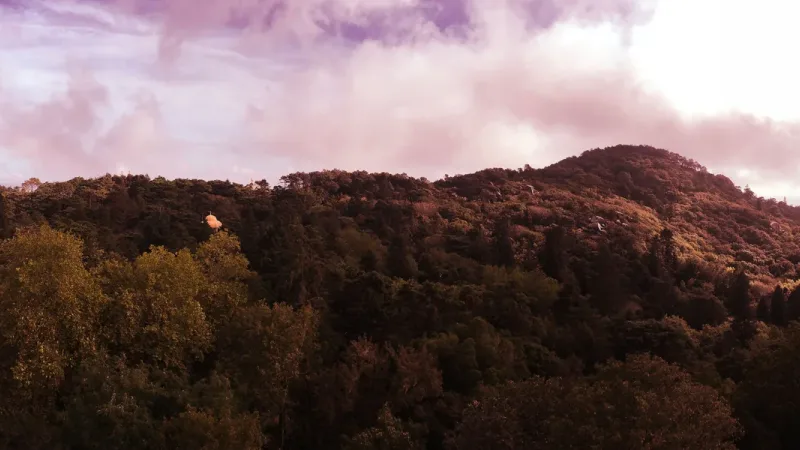Parque Natural de Sintra-Cascais