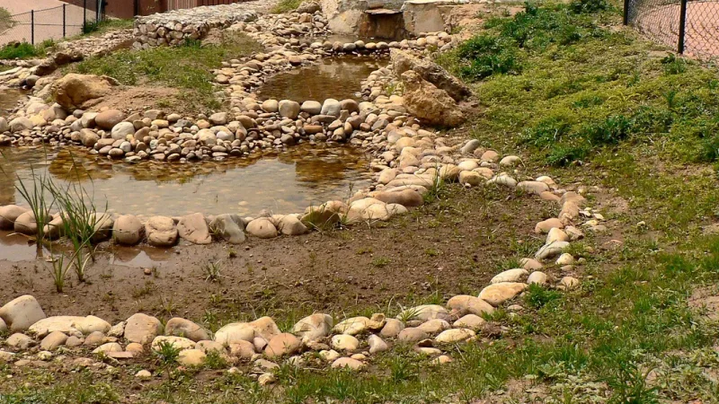 Quinta Pedagógica dos Olivais
