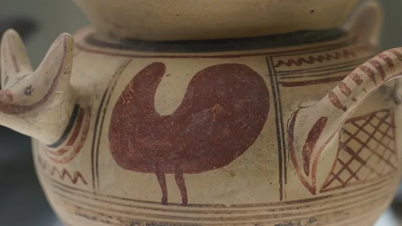 Museu de Arqueologia Dom Diogo de Sousa