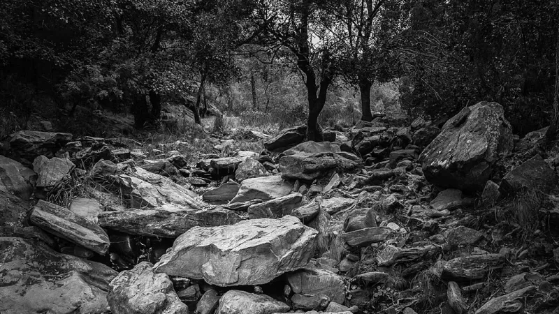 Praia Fluvial Pego das Pias