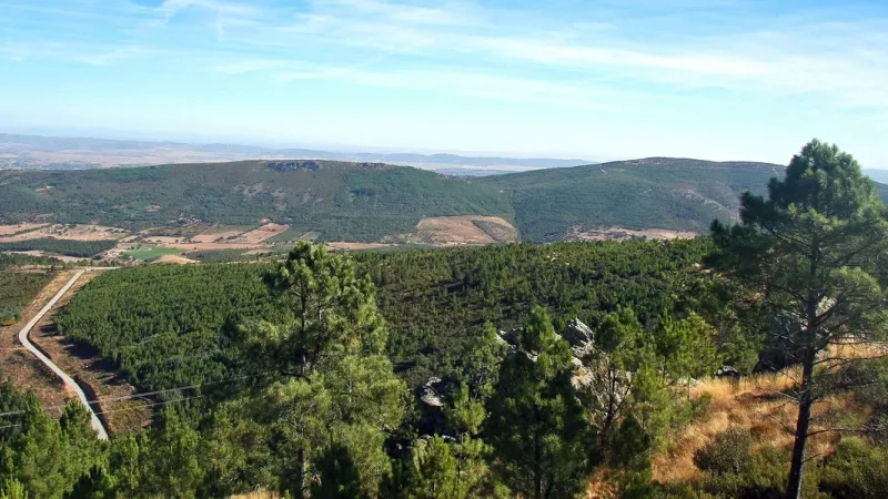 Parque Natural da Serra de São Mamede