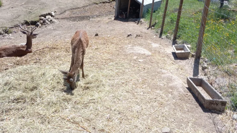 Parque Ecológico de Gouveia