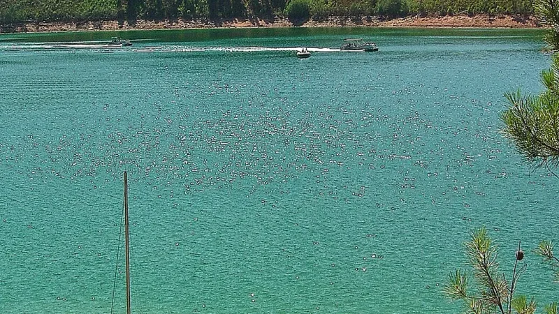 Praia Fluvial Zaboeira
