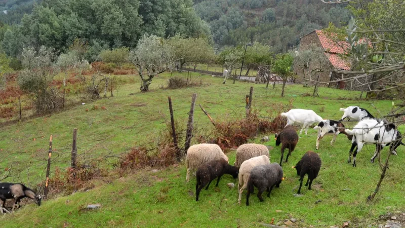 Ecomuseu das Tradições do Xisto